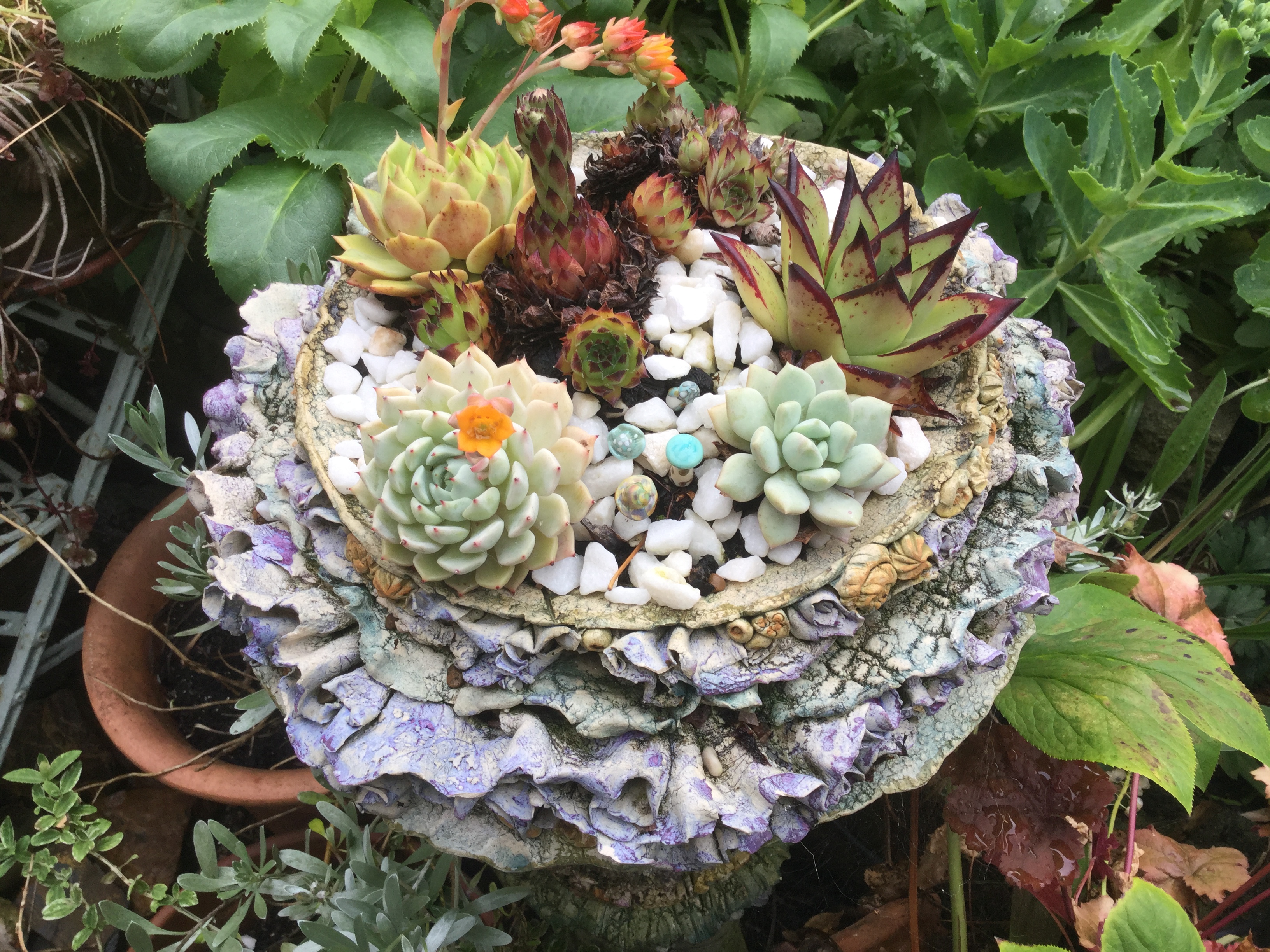 Robin Wade Garden Ceramics