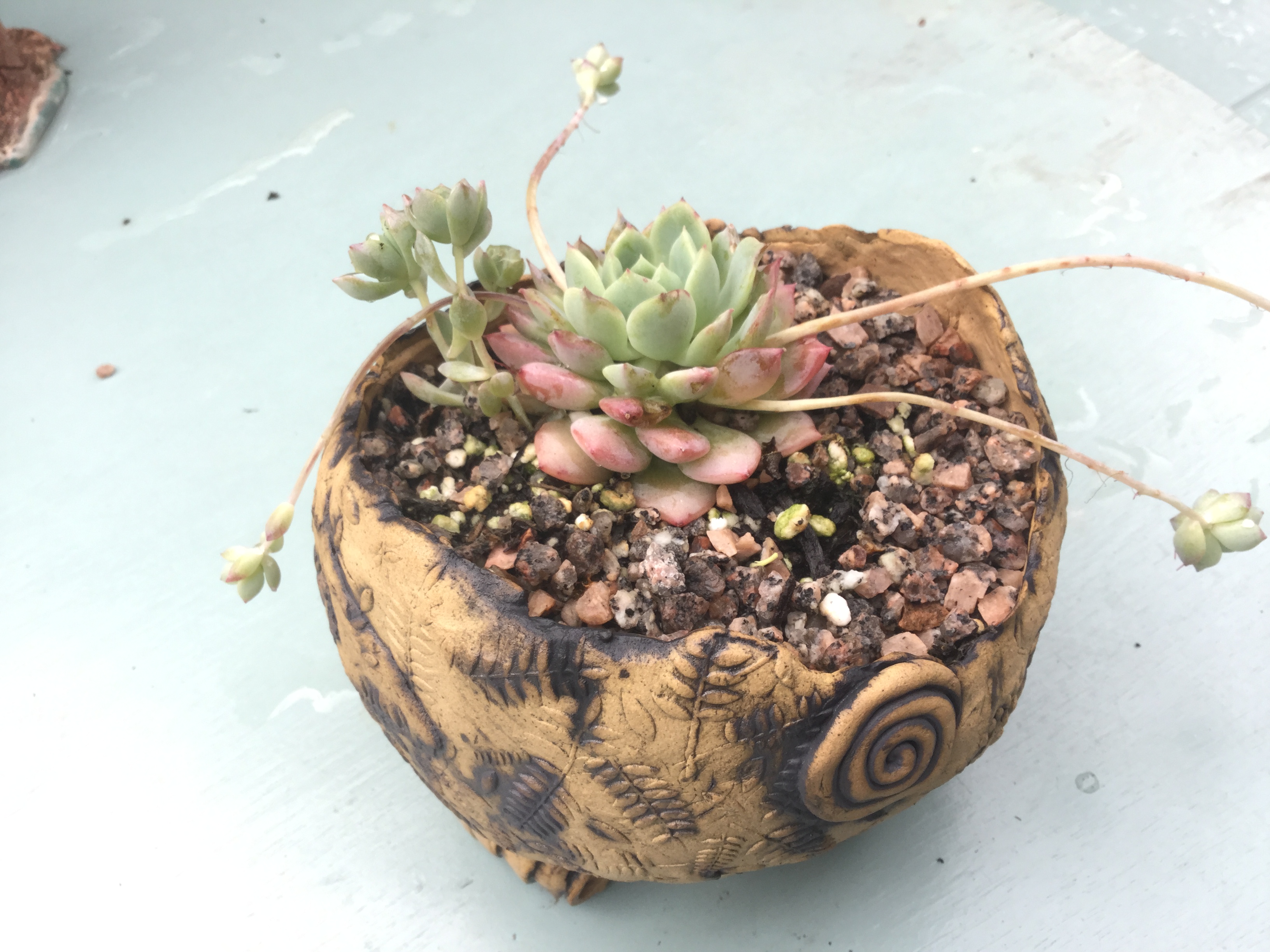 Robin Wade Garden Ceramics