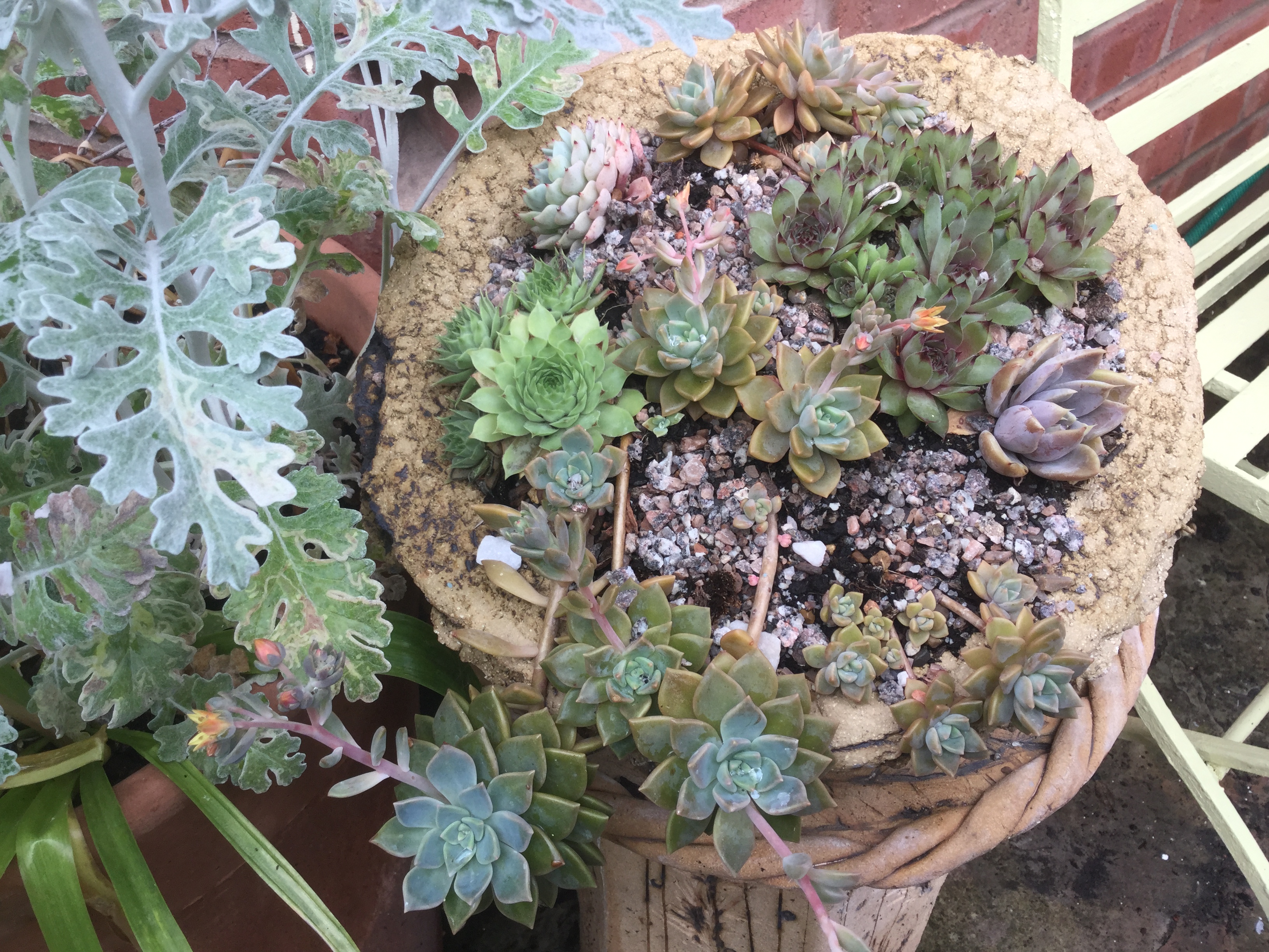 Robin Wade Garden Ceramics